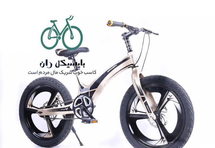 دوچرخه منیزم BDF _سایز 20 _ ارسال رایگان